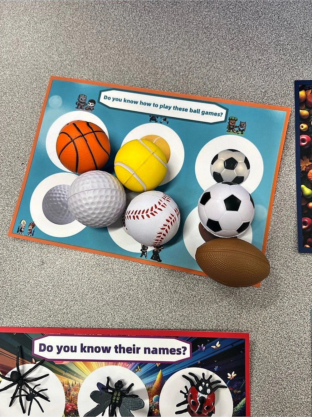 Learning sorting activity - Picture 5 of 13